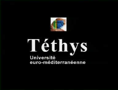 Seminari de formació Tethys