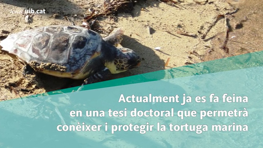 Conveni amb Palma Aquarium per fer recerca i pràctiques d'estudiants al voltant de la defensa del medi ambient