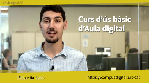 Curs d'ús bàsic d'Aula digital