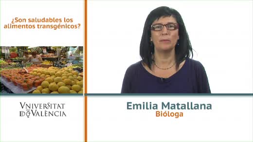 Són saludables els aliments transgènics?