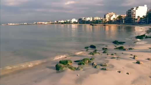 RESPOSTES: El futur de la mar